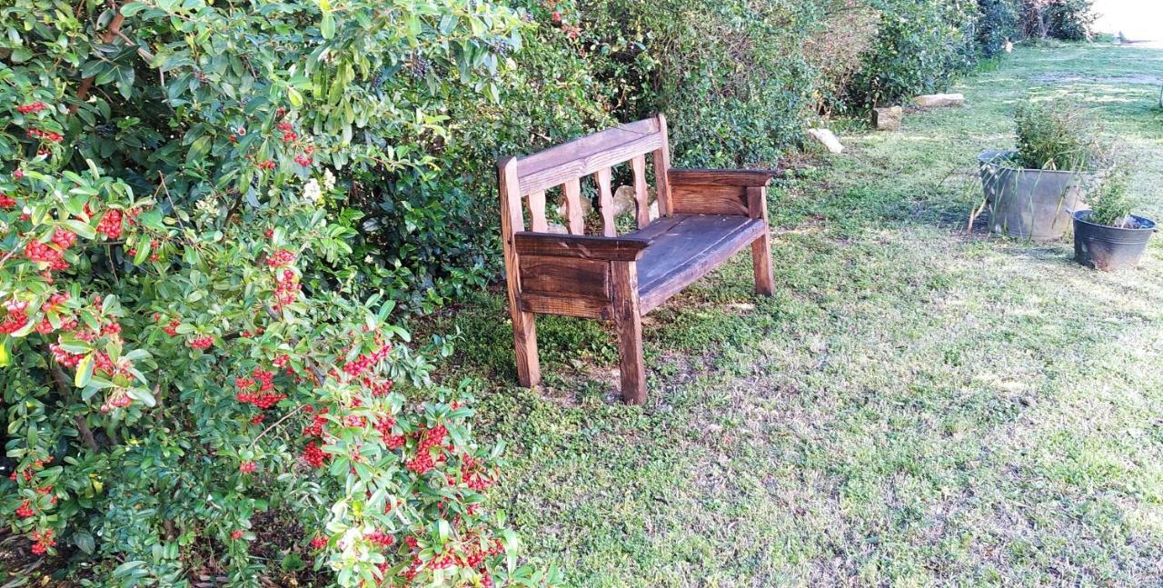 Bed and Breakfast L'Esperluette En Camargue Uchaud Exterior foto